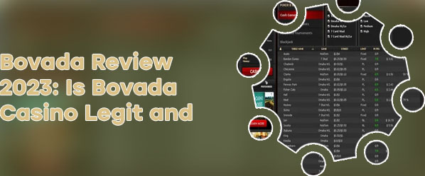 Bovada poker payout